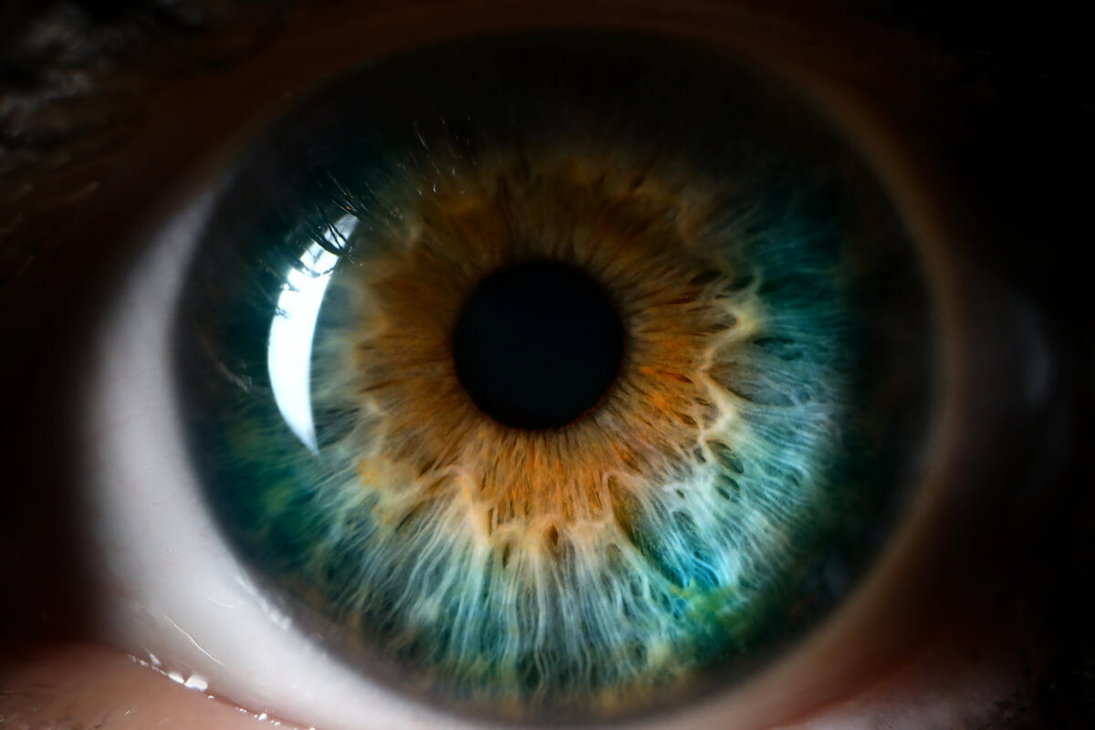 iris, albastru, pupila, ochi
