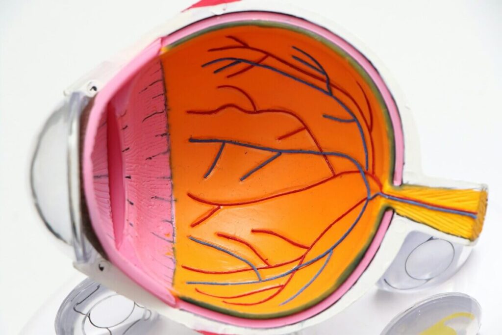 Boala Stargardt. Maladia Stargardt - simptome specifice, metode de diagnosticare (1)